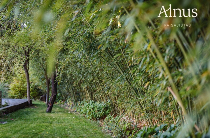 Nueva portada 6 Alnus Paisajistas consolida su trayectoria como estudio de paisajismo sostenible en Madrid