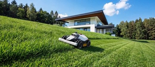 Silvia Pastor